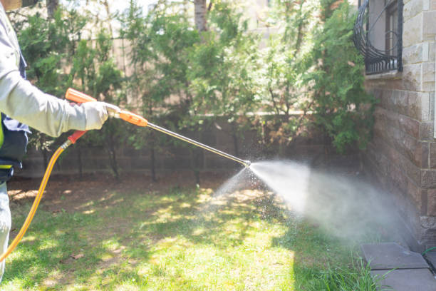 Best Pest Exclusion Services  in Weslaco, TX